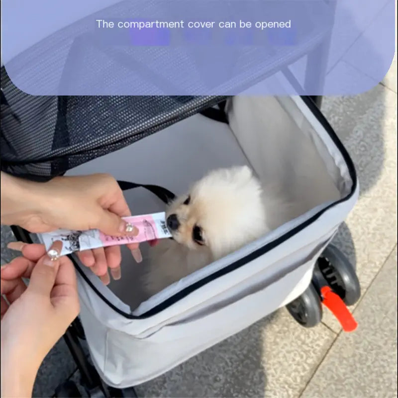 Pet Stroller for Small Dogs and Cats - Lightweight & Foldable