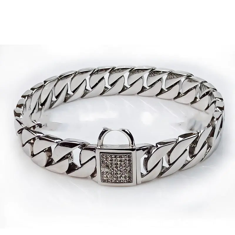 Stainless Steel Pet Chain Dog Collar and Leash